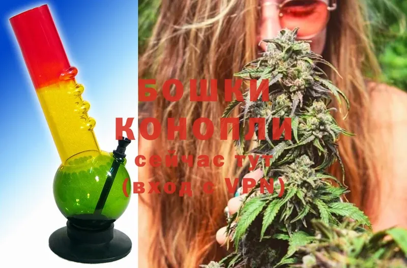 Конопля SATIVA & INDICA  кракен сайт  Богородицк 